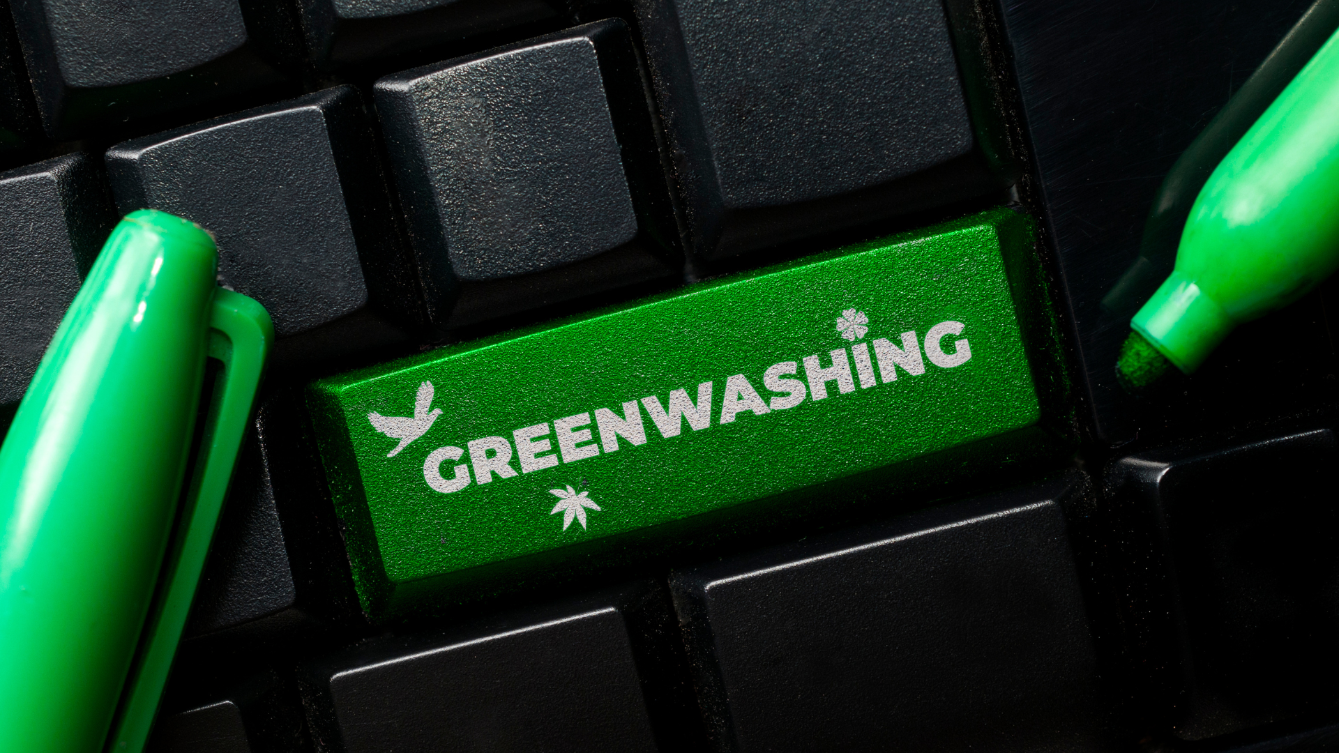 Greenwashing (1)